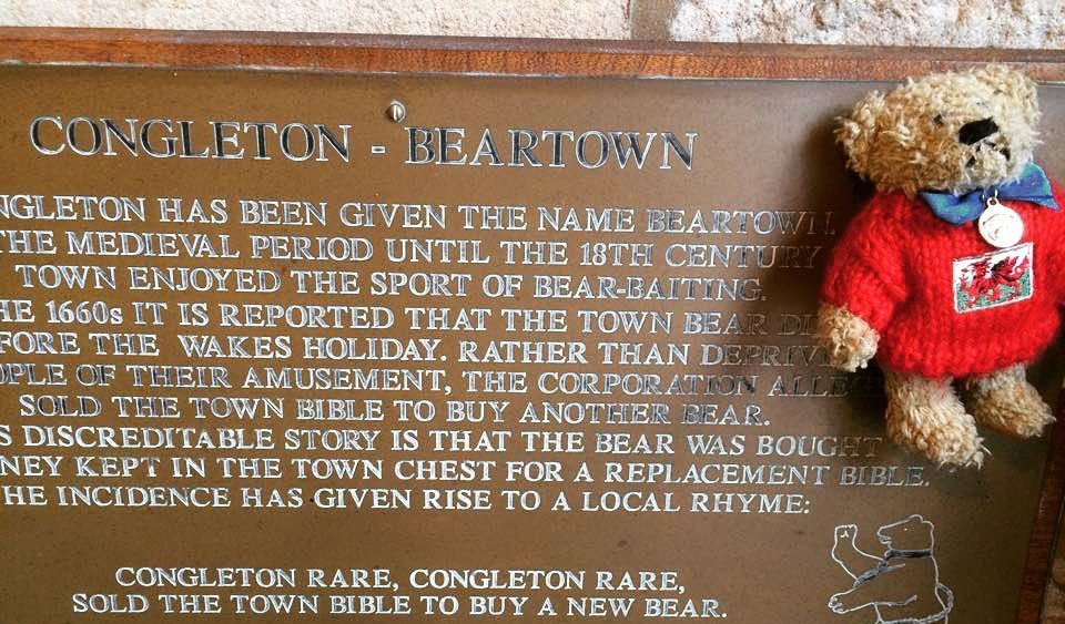A bear in beartown and beyond (Congleton, Leek and Biddulph Grange)