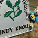 Bryn de Bear at Windy Knoll on the Mam Tor circular walk walk at
